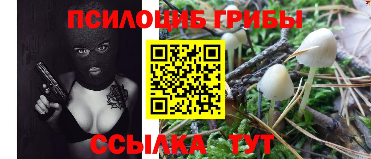 Галлюциногенные грибы прущие грибы  Вход с VPN  Шатура 